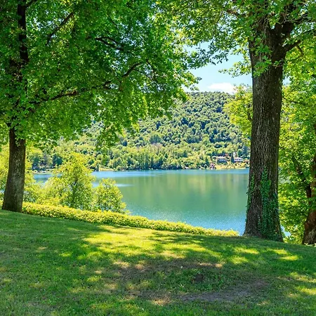 Ninfea Pied Dans L'eau - Happy Villa *